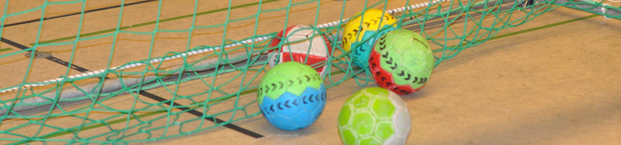 NEU IM MTV-BLOG: RÜCKBLICK AUF DIE HANDBALLSAISON